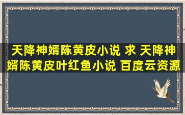 天降神婿陈黄皮小说 求 天降神婿陈黄皮叶红鱼小说 百度云资源,谢谢